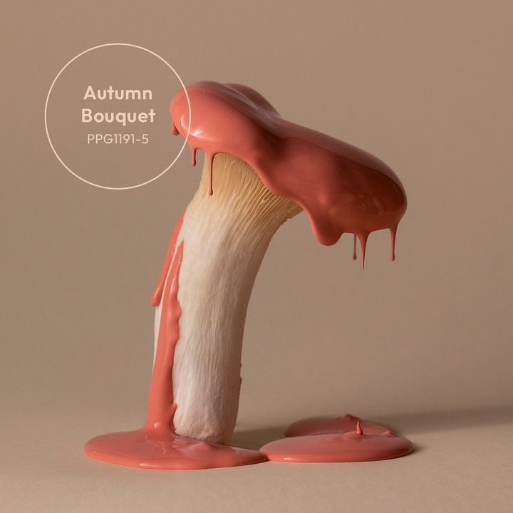 Dyrup Farver ApS inspirerer til efterårsprojekter med åbent i efterårsferien