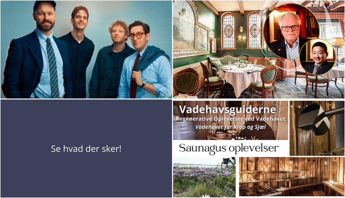 Weekendens oplevelser i Ribe: Jazz, vin og saunagus
