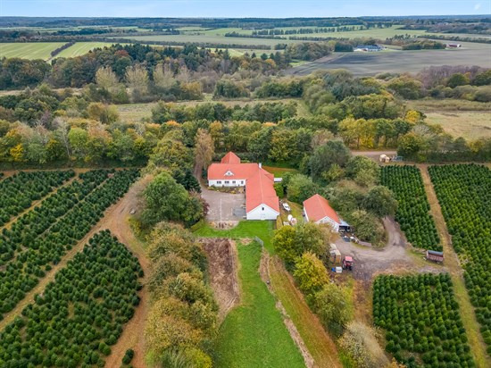 Drømmer du om luksus? For 5.495.000 kr er Hedevej 40 kommet til salg - Se den og de dyreste boliger til salg her