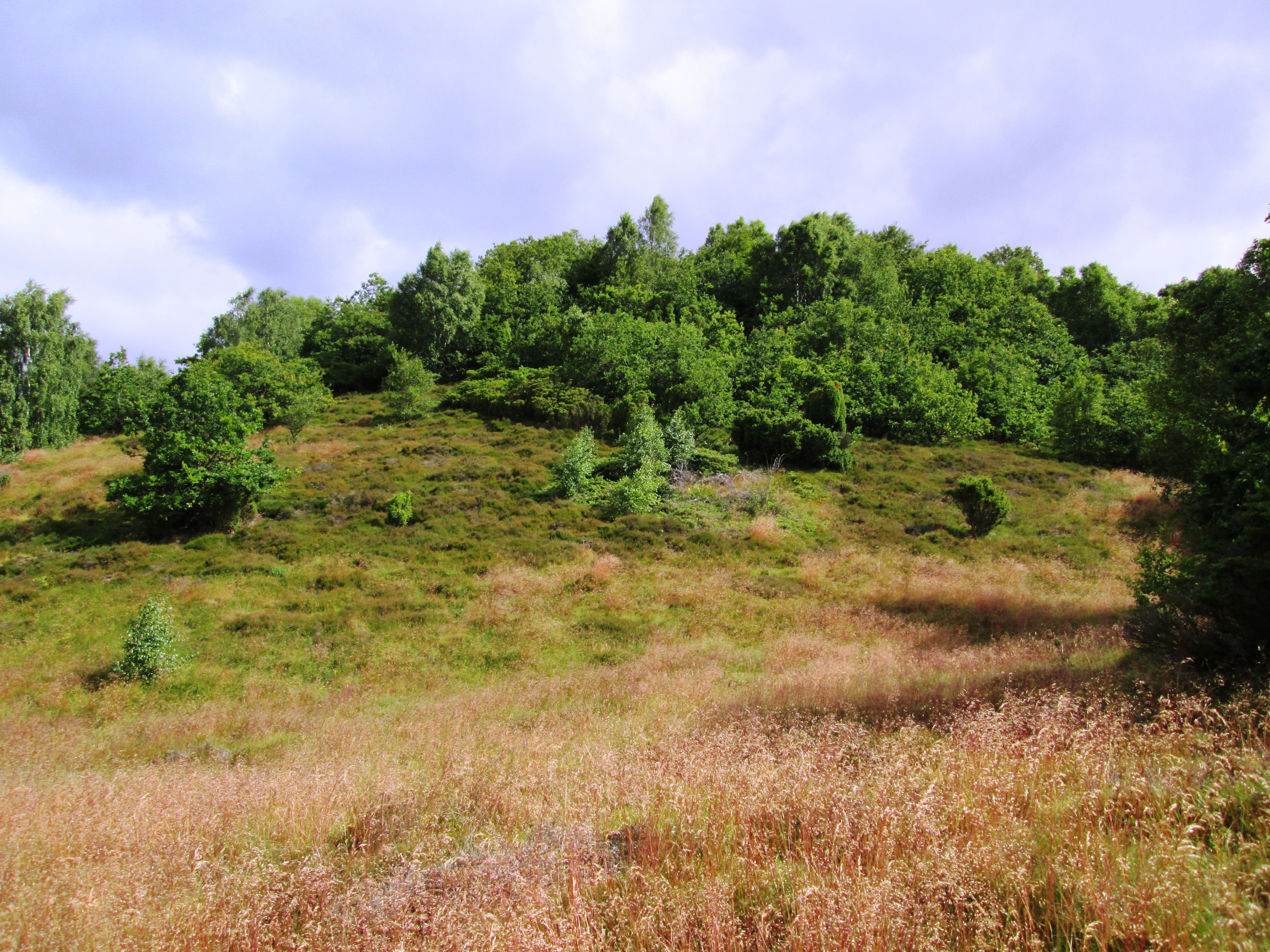 Efterårseventyr i Randers: Naturoplevelser for hele familien