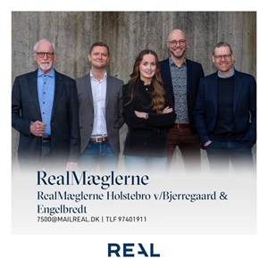 Opslagsbillede