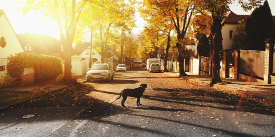 Luksus til salg: Kolshøjen 8 til 10.600.000 kr – Se Viborgs dyreste boliger her