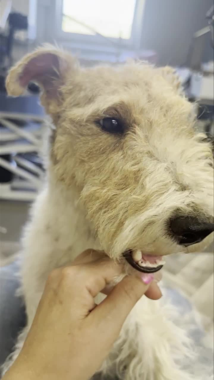 Se dagens updates fra Sæby her