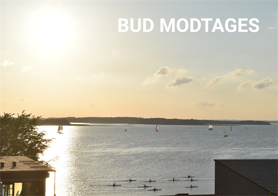 Top 6 over dyreste boliger til salg i Roskilde. Priser op til 21.800.000 kr