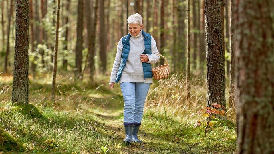 FOA Silkeborg-Skanderborg inviterer til webinar om pension onsdag den 9. september