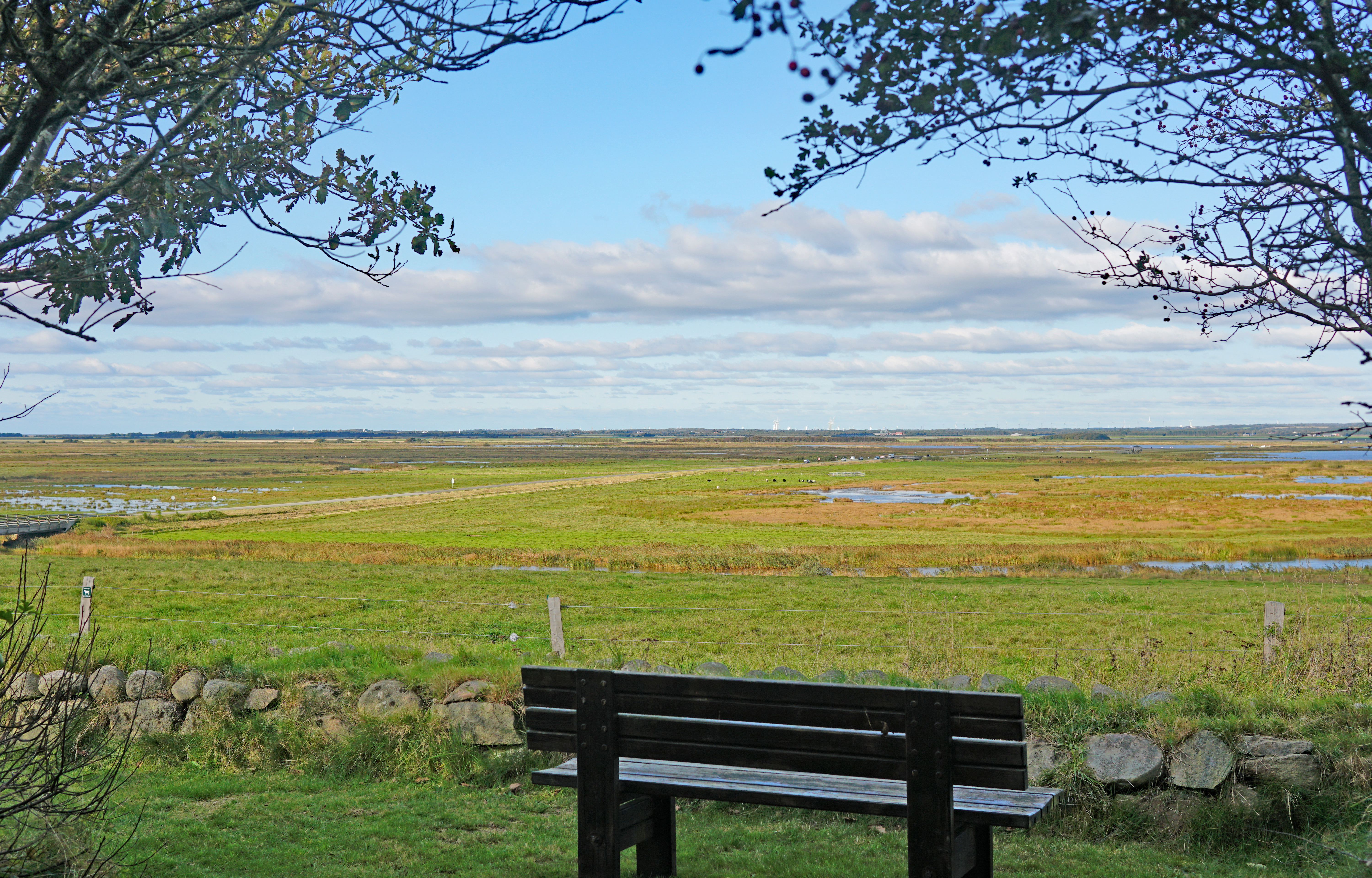 Skjern Enge på to hjul