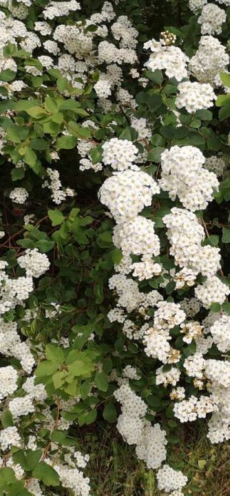 Nyt på opslagstavlen i Brønderslev