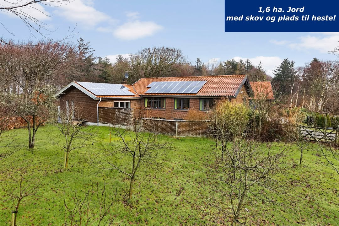 EDC Hurup Thy tilbyder villa med egen skov og hestefaciliteter