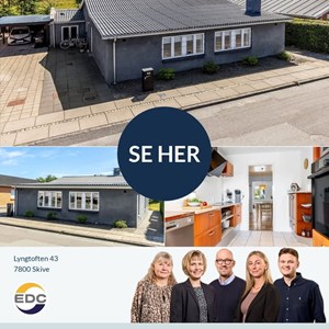 Opslagsbillede