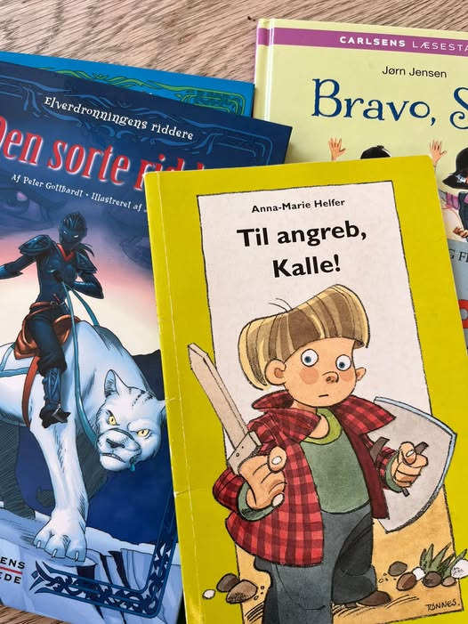 Skole Booster afholder sommercamp med hjælp til læsning i uge 32
