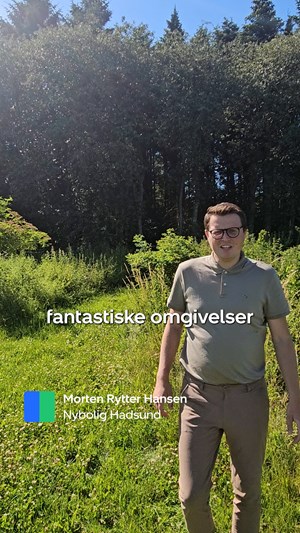 opslagsbillede