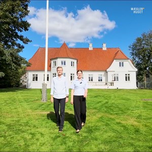 Opslagsbillede