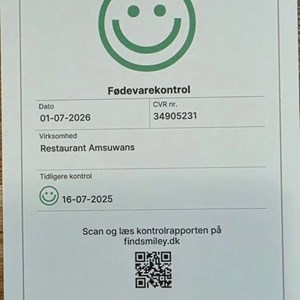 Opslagsbillede