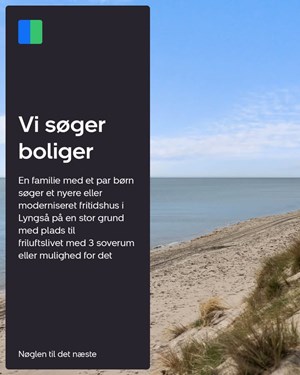 opslagsbillede