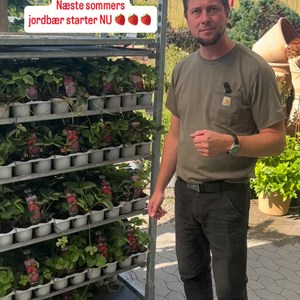 Opslagsbillede