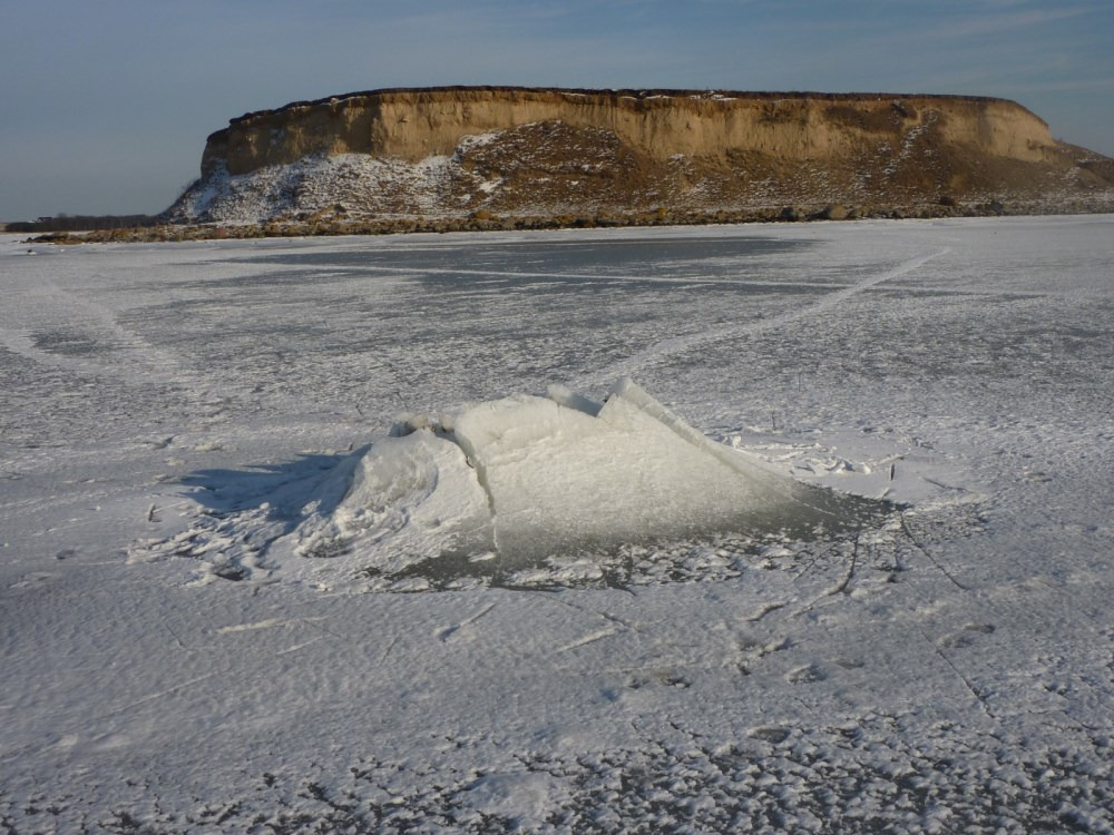 Nytårstur i Roskildes grønne områder
