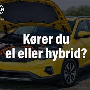 Opslagsbillede