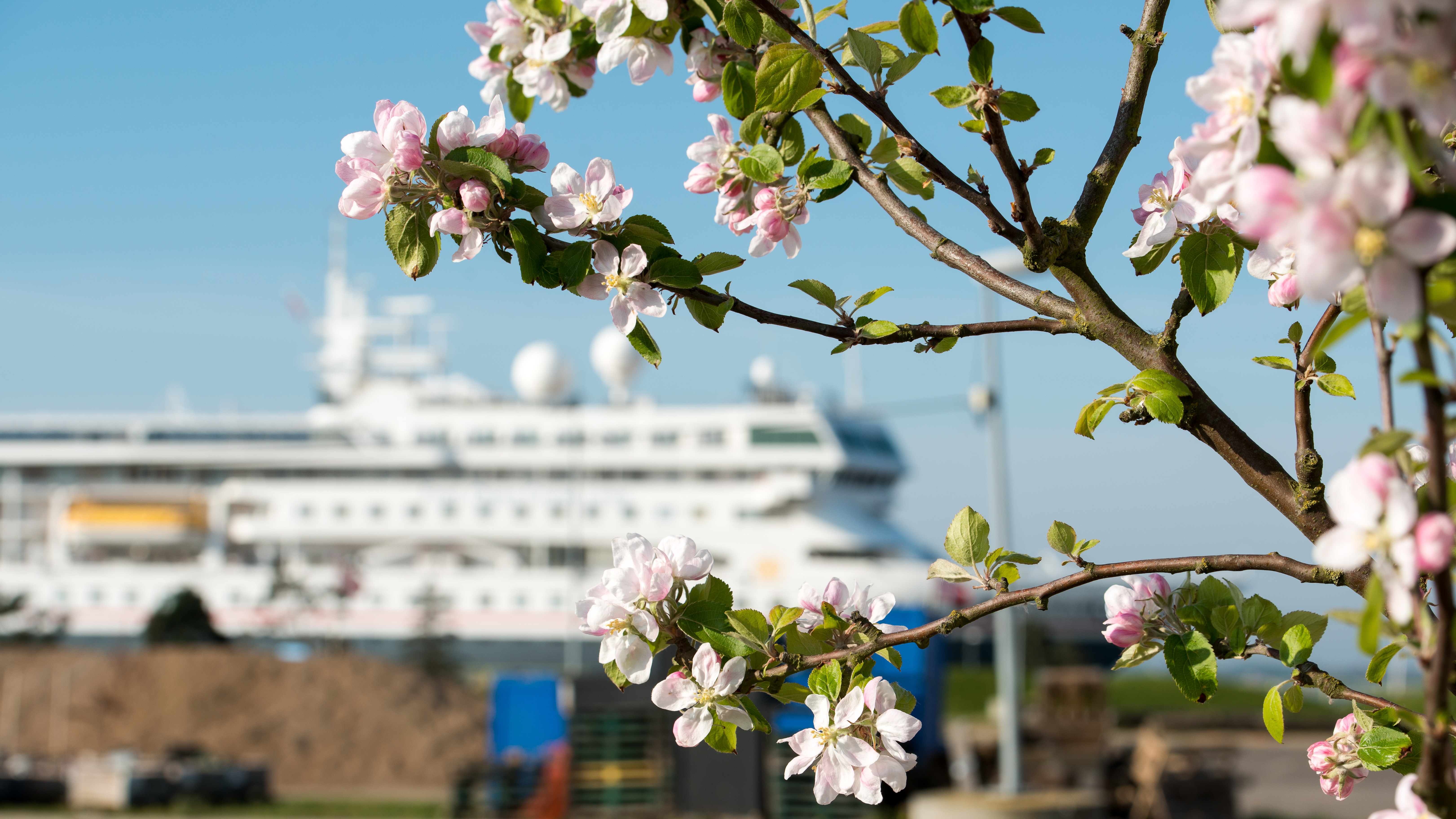 Oplev Fredericia, når krydstogtskibet Arcadia lægger til kaj