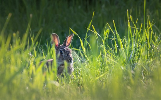 Top 6 over dyreste boliger til salg i Fjerritslev. Priser op til 7.795.000 kr