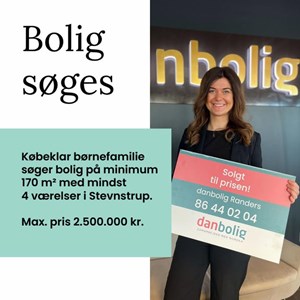 Opslagsbillede