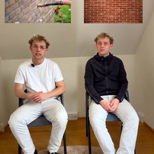 Opslagsbillede