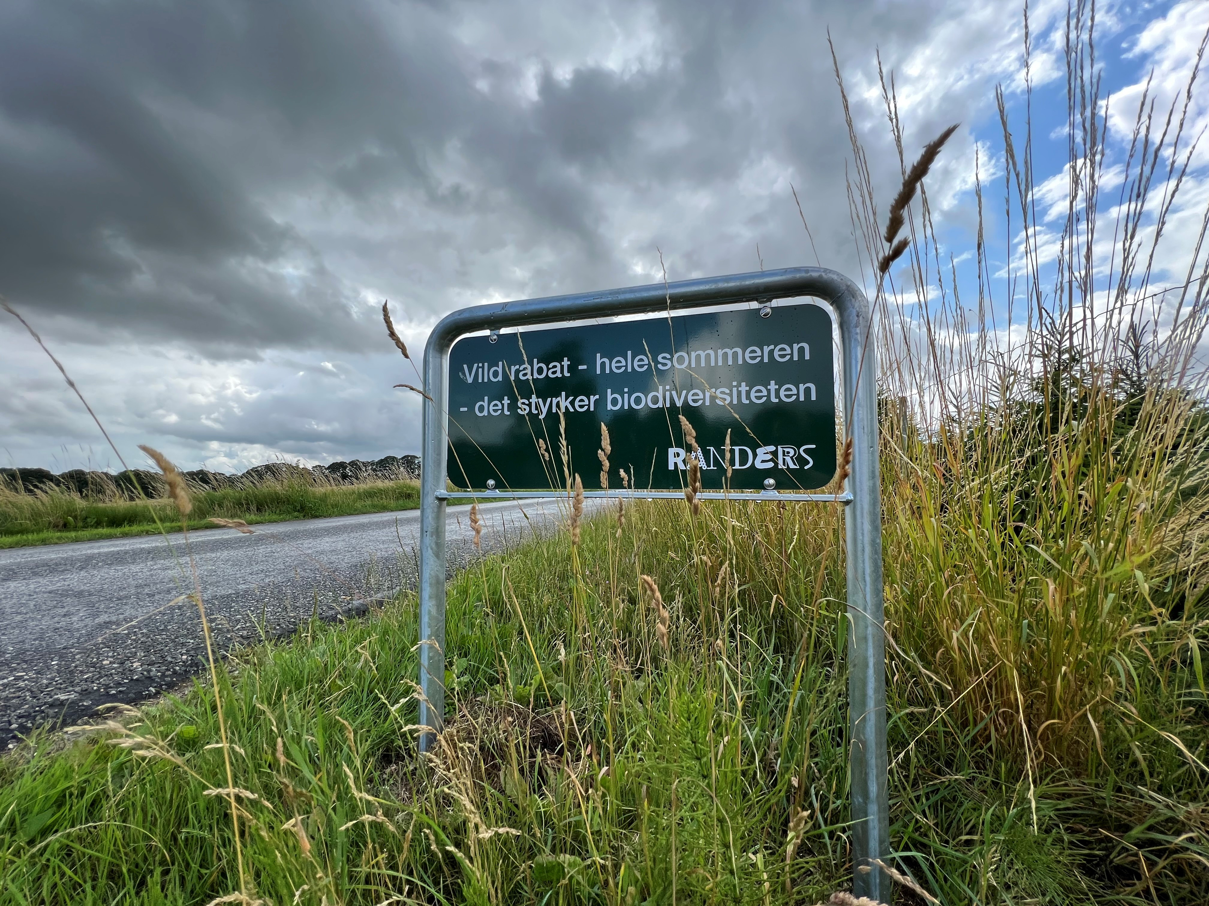 I Randers summer det i de langhårede rabatter langs vejene 