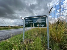 I Randers summer det i de langhårede rabatter langs vejene