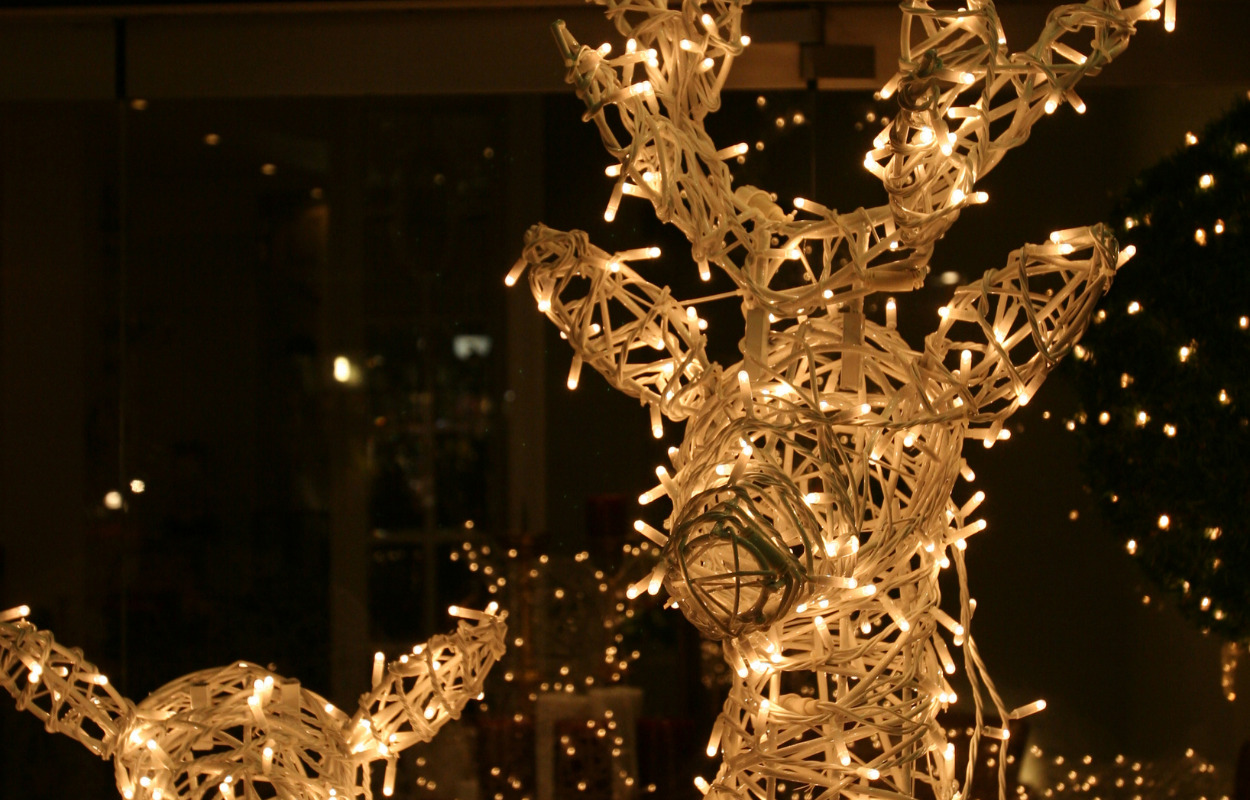 Jobcenter giver julen i Frederikshavn en hånd