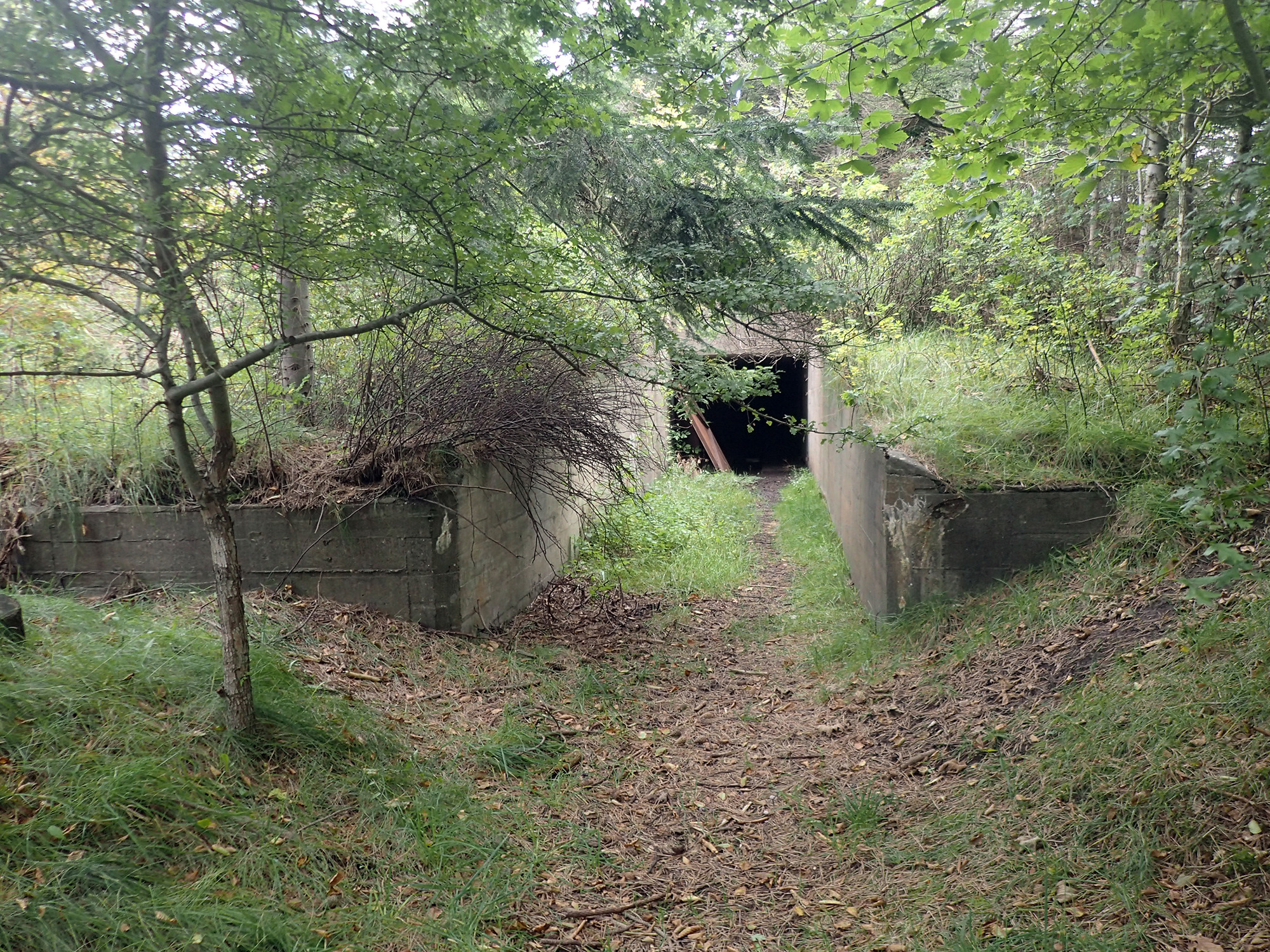 Oplev Hanstholms krigshistorie: To unikke arrangementer på Bunkermuseum Hanstholm