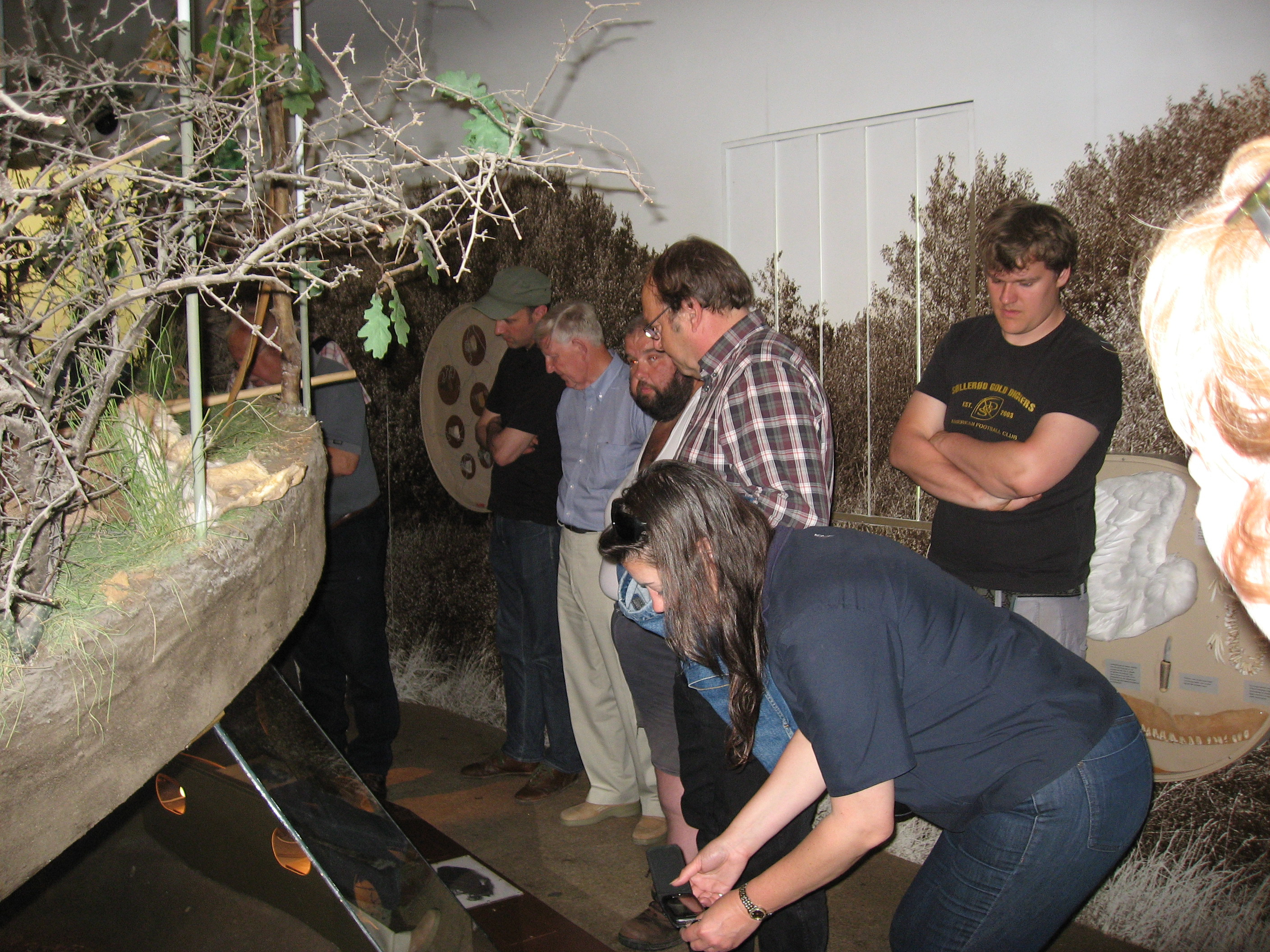 Udforsk stenalderjægernes verden på Vedbækfundene