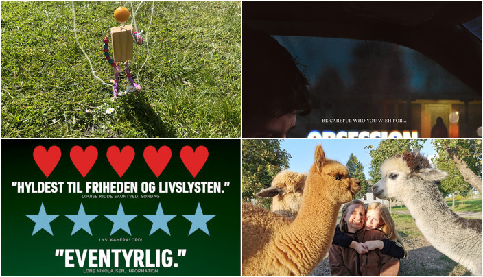 Weekendaktiviteter i Ringsted: Kreativitet, film og alpacaer