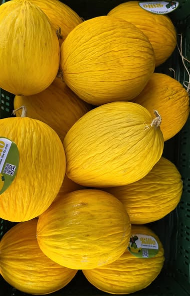 SPAR Visse har dagens grønt hug med frugt og grønt til skarpe priser