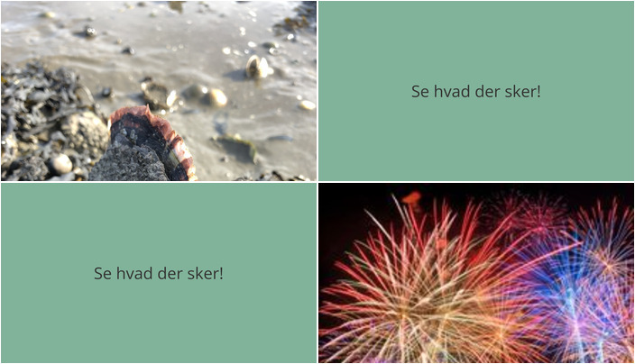 Oplev spændende oplevelser i Ribe denne weekend: Østerstur og Nytårskoncert