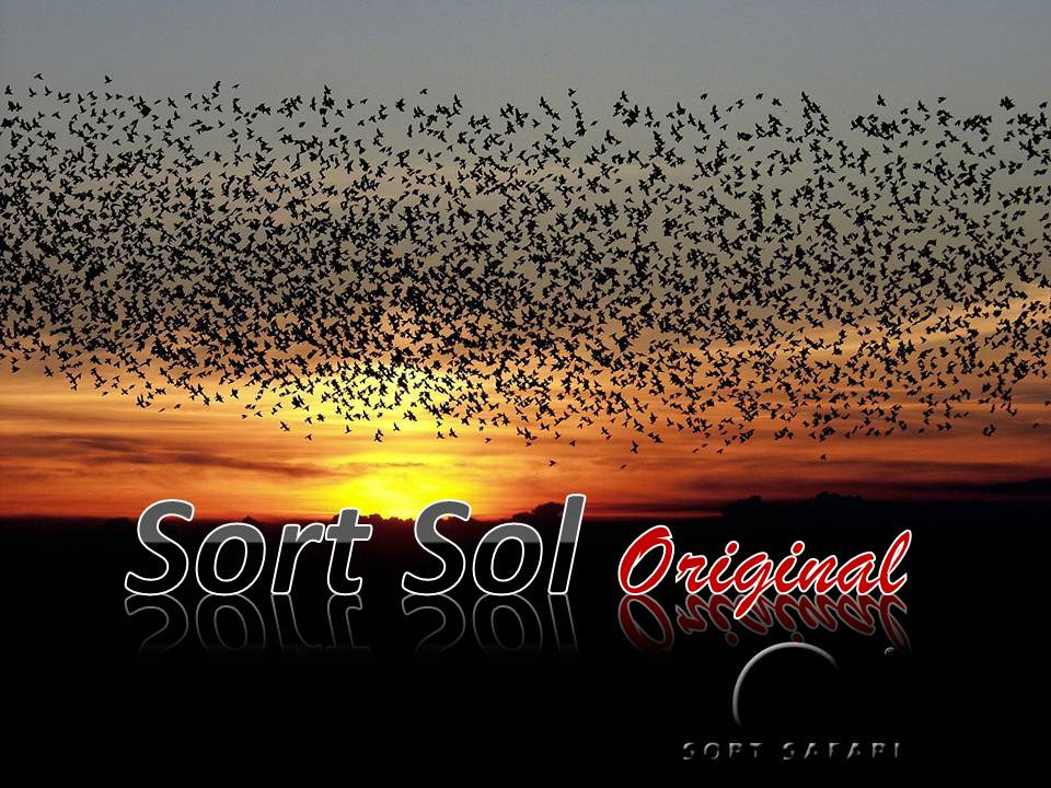 Oplev Sort Sol: Danmarks mest spektakulære naturfænomen