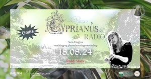 Gratis vandring og plantefarve-workshop i Rold Skov med kunstner Sara Hagins