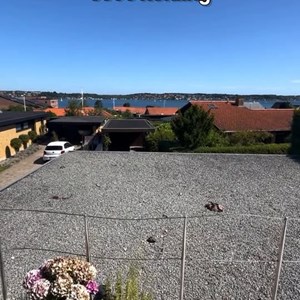 Opslagsbillede