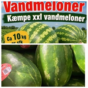 Opslagsbillede