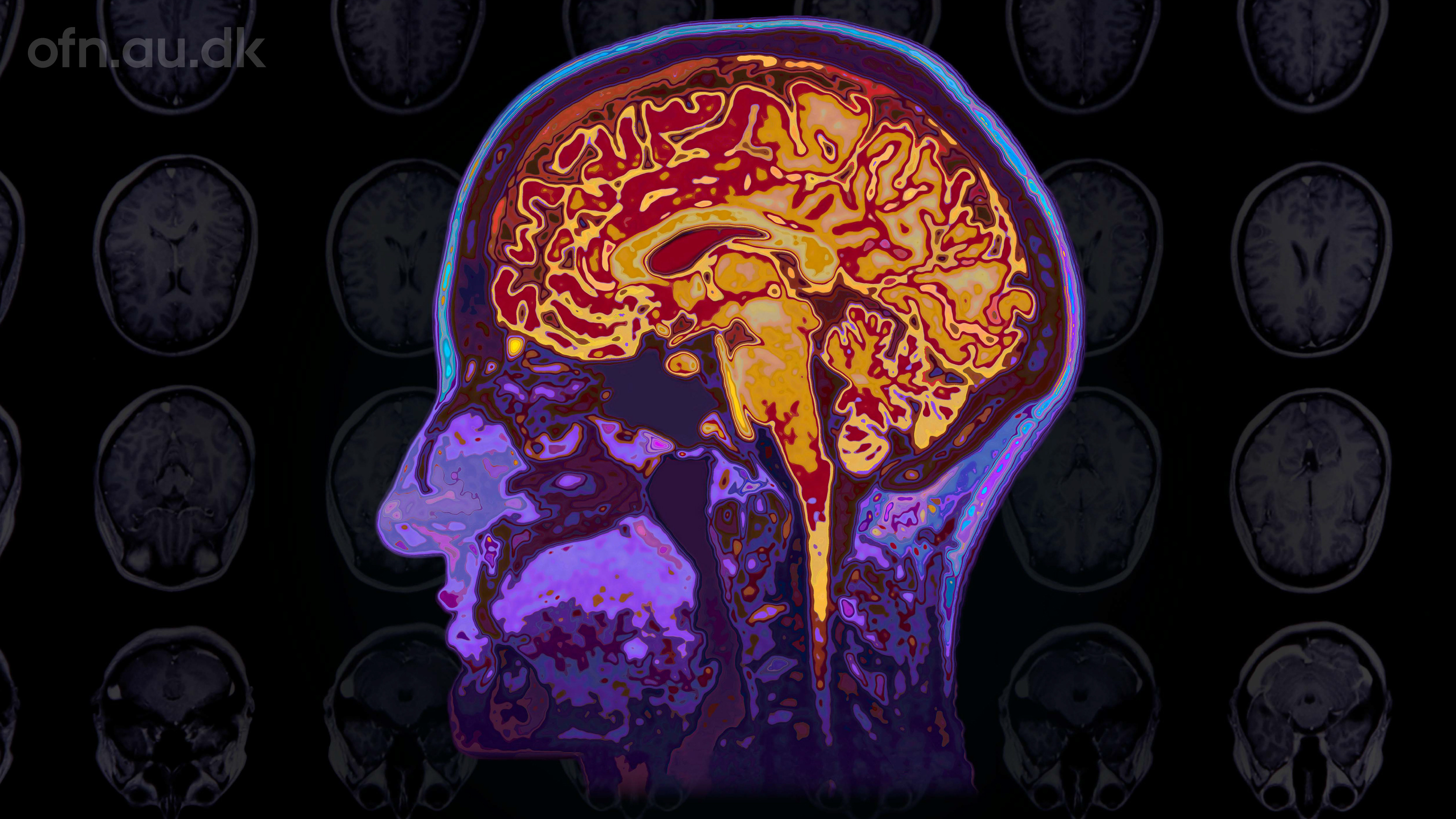 Historiske og videnskabelige aftener i KU.BE