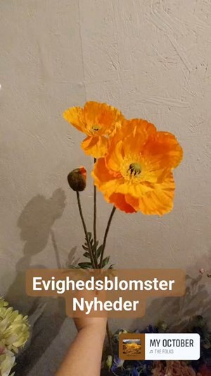 opslagsbillede