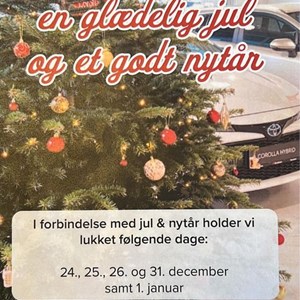 Opslagsbillede