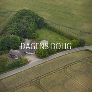 opslagsbillede