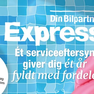 Opslagsbillede