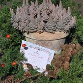 Fru Hansens Butik & Café ser frem til julemarkedet i november, men fejrer først efterårets skønhed