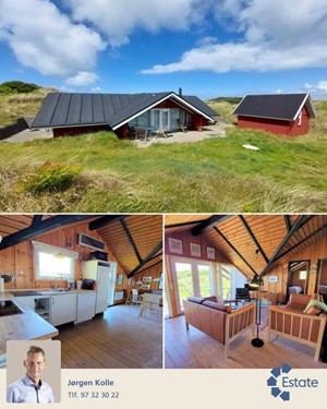 opslagsbillede