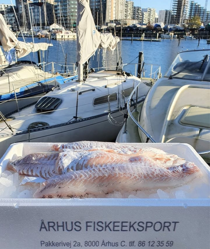 Meny Hobro tilbyder friske kullerfileter til fish and chips: Bestil via Facebook nu
