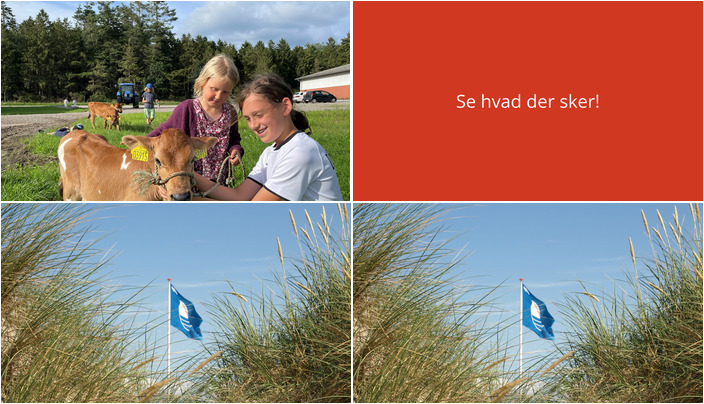 Udforsk livet på gården og deltag i Blå Flag arrangementer denne uge i Glesborg