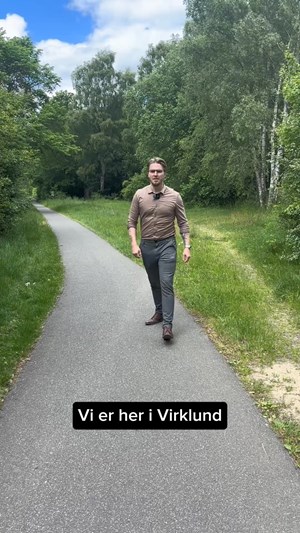 opslagsbillede