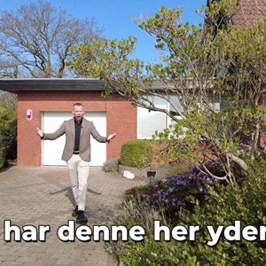 Opslagsbillede