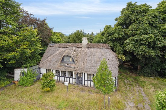 Billigste boliger i Odense Kommune: Priser fra 550.000 kroner