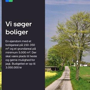 Opslagsbillede